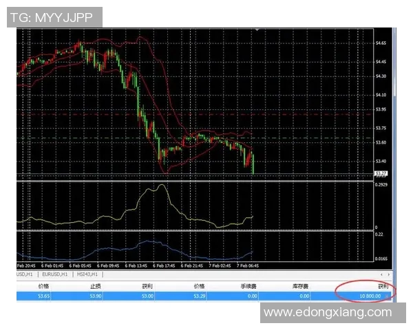 新西兰与秘鲁精彩对决视频直播全程回顾与分析