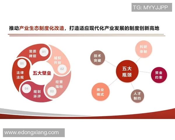探索dibo的魅力与潜力:如何在现代生活中充分利用这一创新平台 探索dibo的魅力与潜力:如何在现代生活中充分利用这一创新平台
