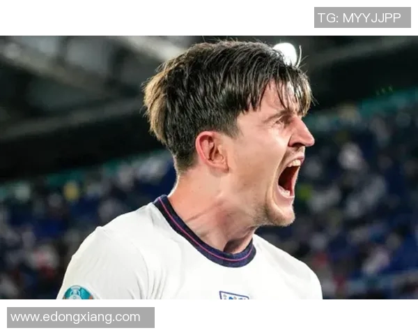 英格兰名宿盖雷特点评荷兰队表现，称其实力仍需提升